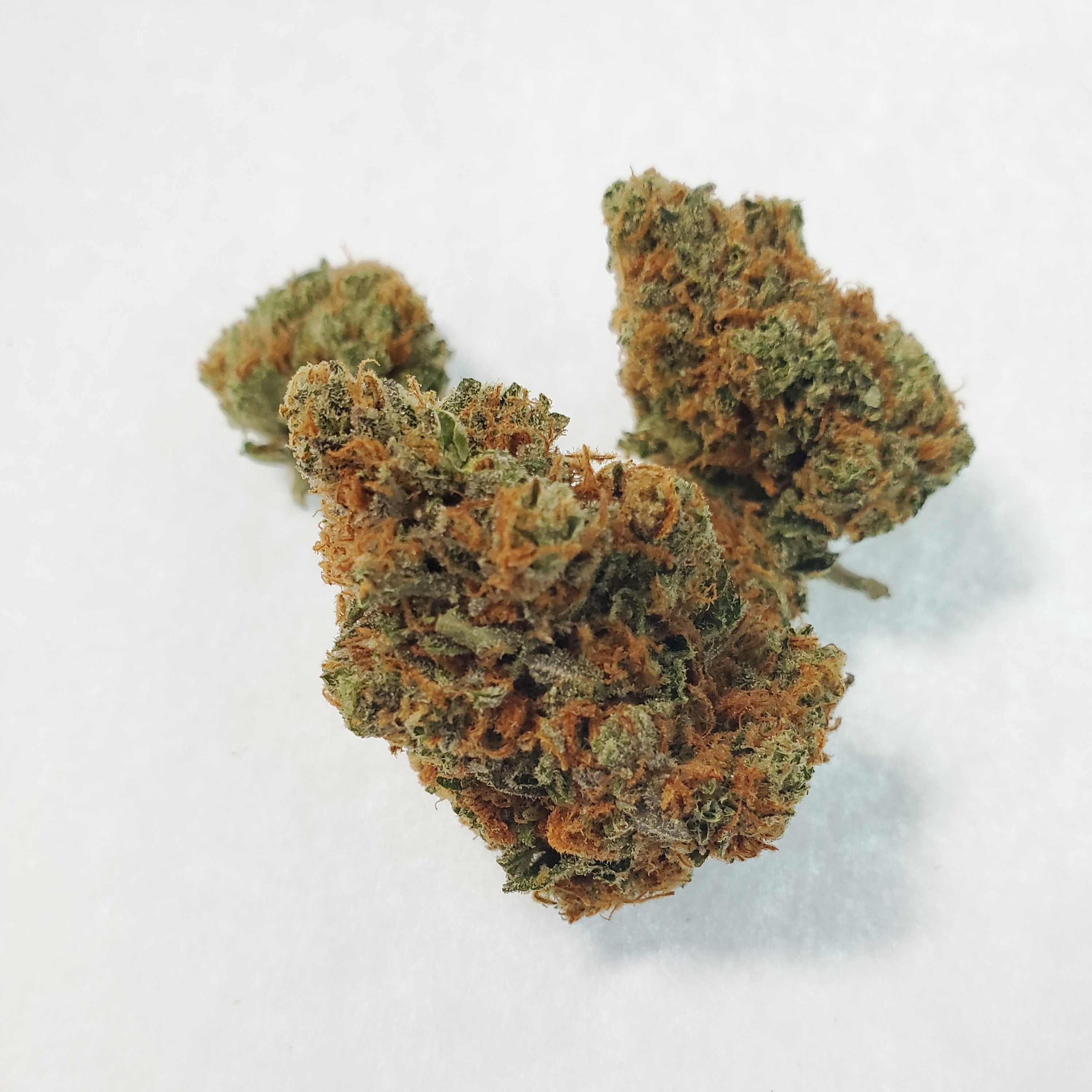 Veritas Fine Cannabis Strawberry Shortcake Leafly